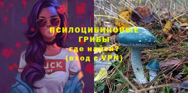 марки lsd Богородск